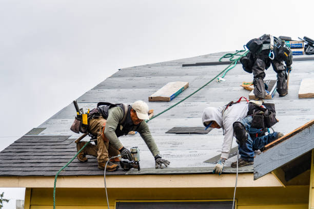 Professional Gutter Installation technician working in Little Plymouth, VA